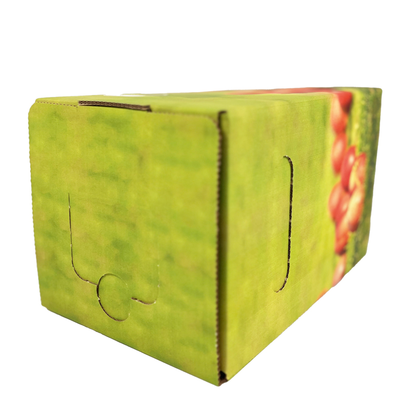 10l Bag in Box | KARTON | "Apfeldruck/Wiese" 