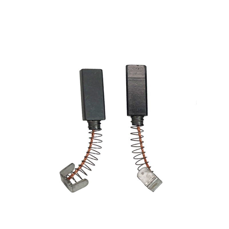 ERSATZTEIL | Stabpumpe B2 Vario | 2 x Kohlebürsten