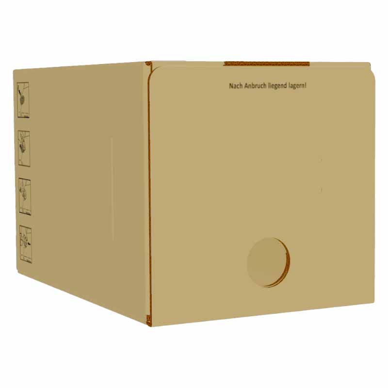 5l BaginBox|KARTON|braun|doppelter Boden